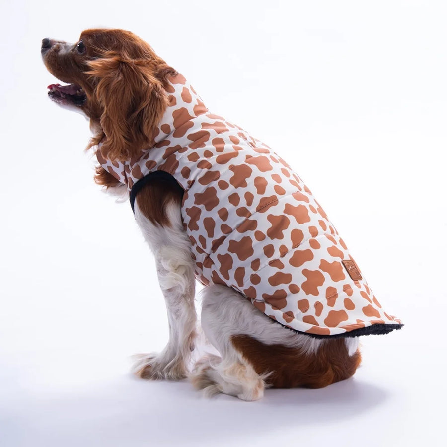 Moshi Mood Vest Small & Medium Breed