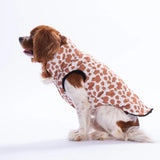 Moshi Mood Vest Small & Medium Breed