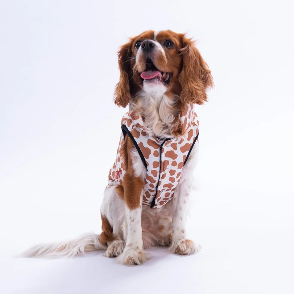 Moshi Mood Vest Small & Medium Breed