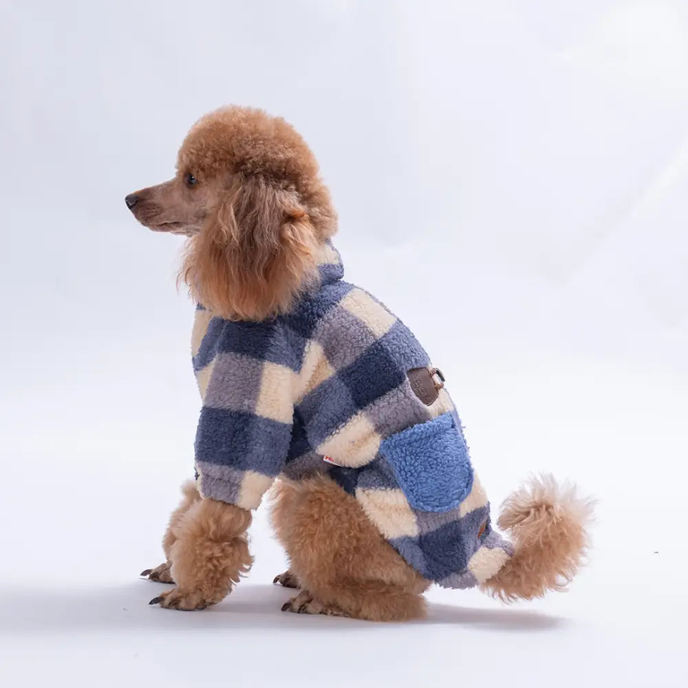 - Royal Blue Chicago Checks Jacket