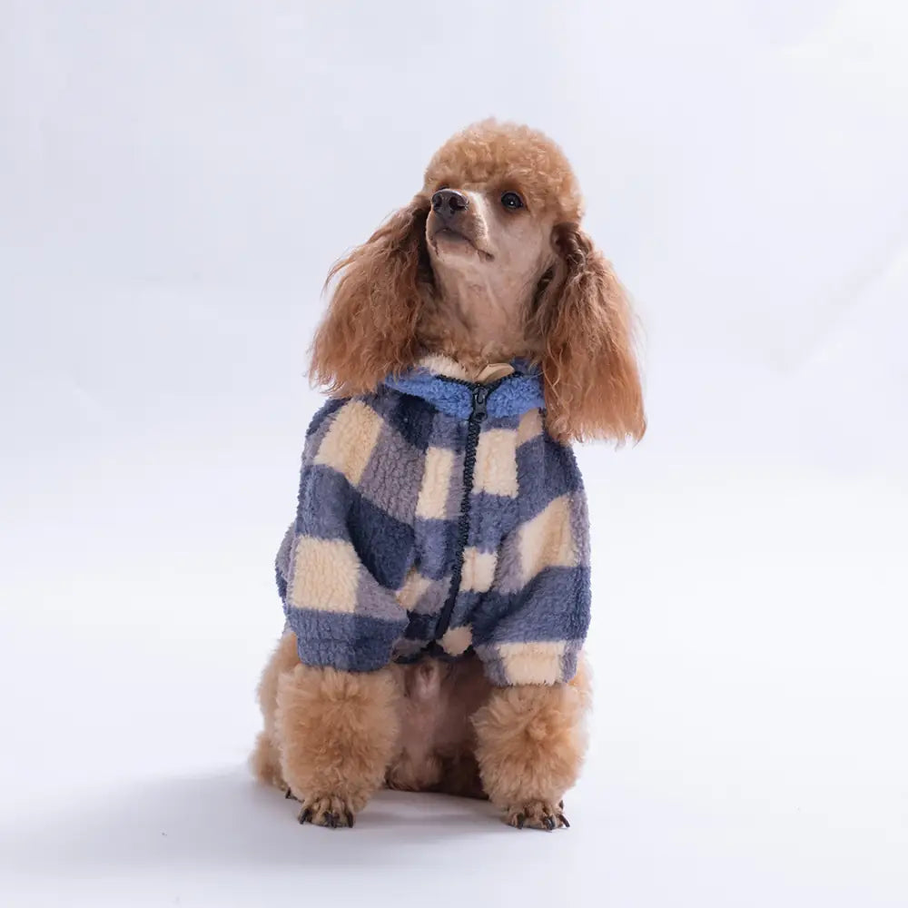 - Royal Blue Chicago Checks Jacket