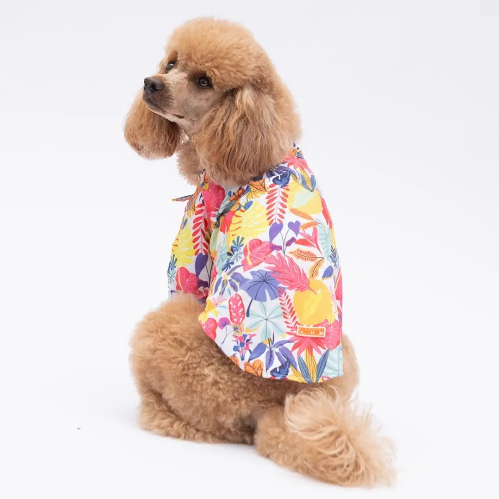 Miami Patterned Shirt