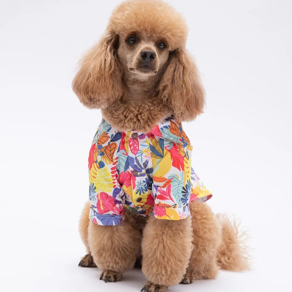 Miami Patterned Shirt