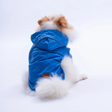 Blue Pluvia Raincoat Small & Medium Breed