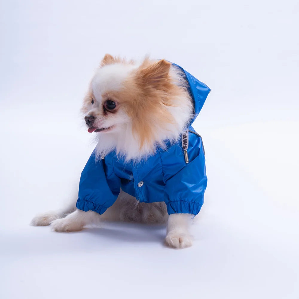 Blue Pluvia Raincoat Small & Medium Breed