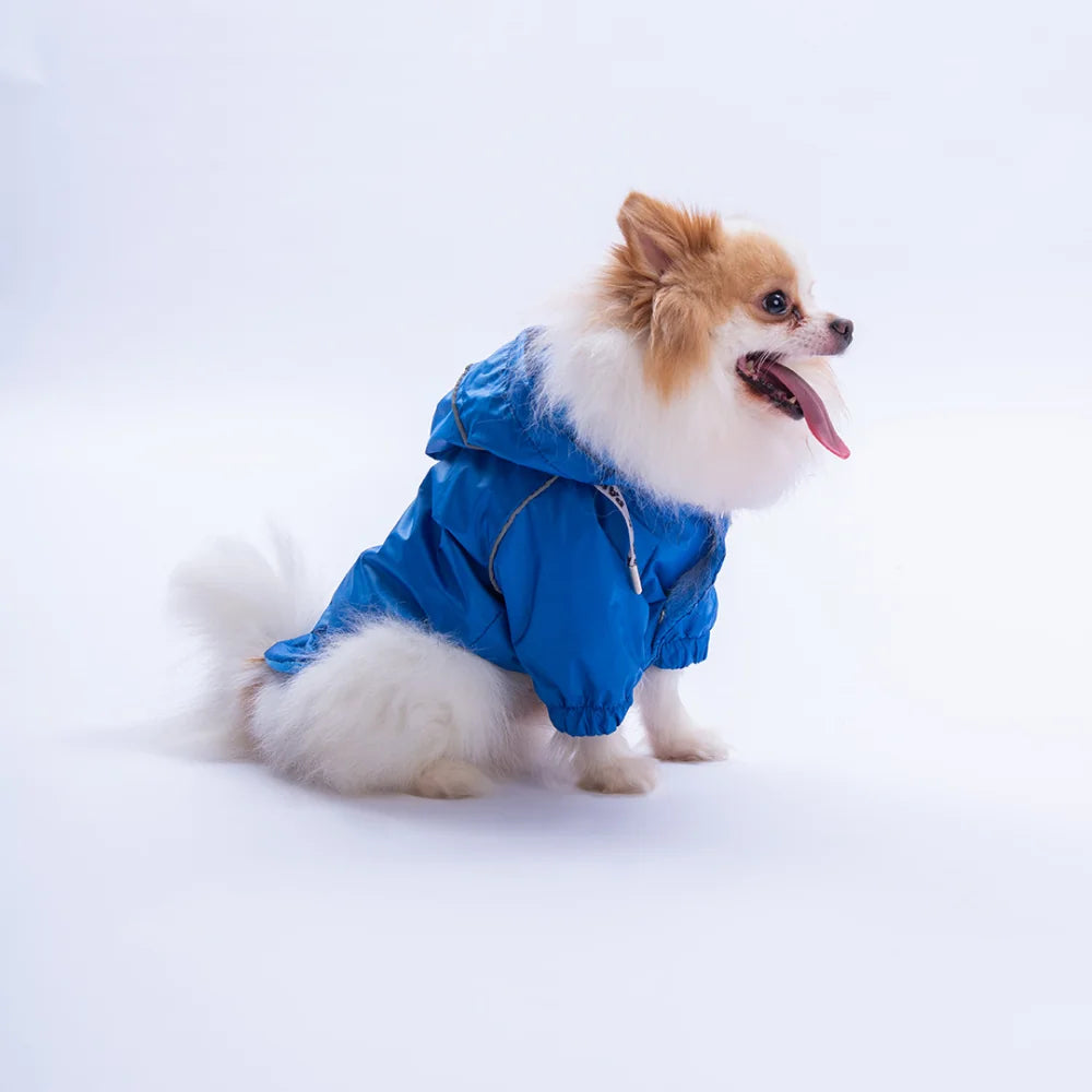 Blue Pluvia Raincoat Small & Medium Breed