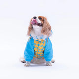 Nice Citrus Raincoat