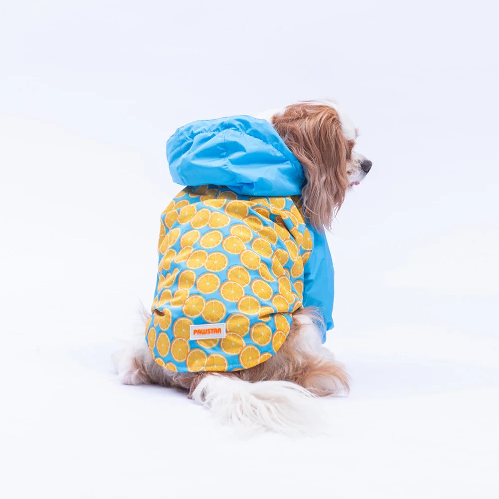 Nice Citrus Raincoat