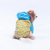 Nice Citrus Raincoat
