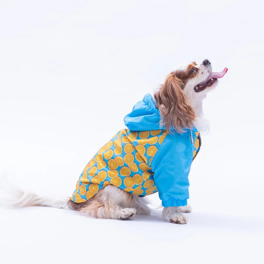 Nice Citrus Raincoat