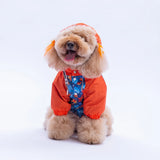 Amsterdam Fall Raincoat