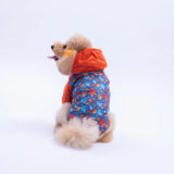 Amsterdam Fall Raincoat
