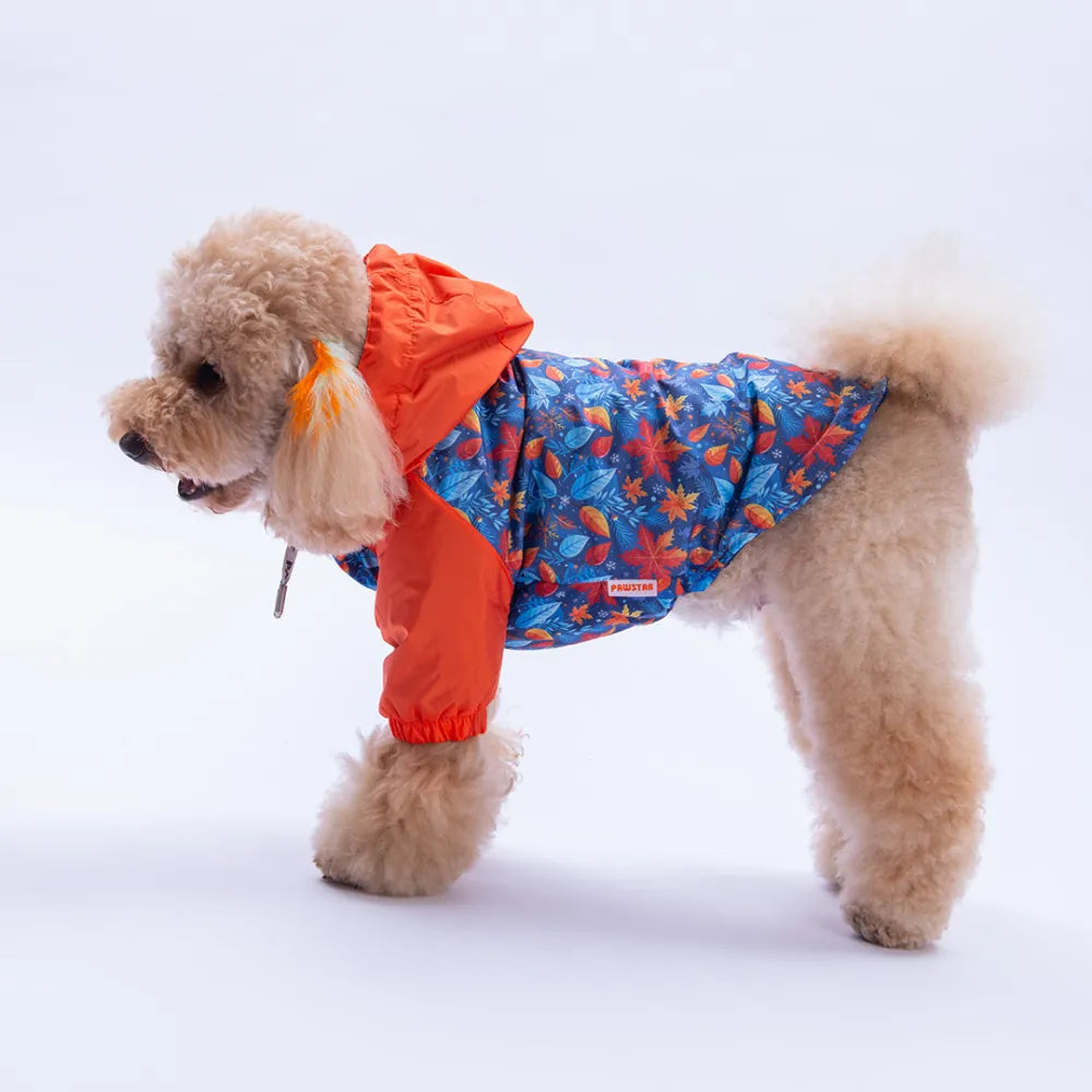 Amsterdam Fall Raincoat