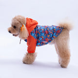 Amsterdam Fall Raincoat