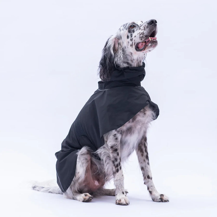 Black Colombia Prime Raincoat Orta- Large Breed lar