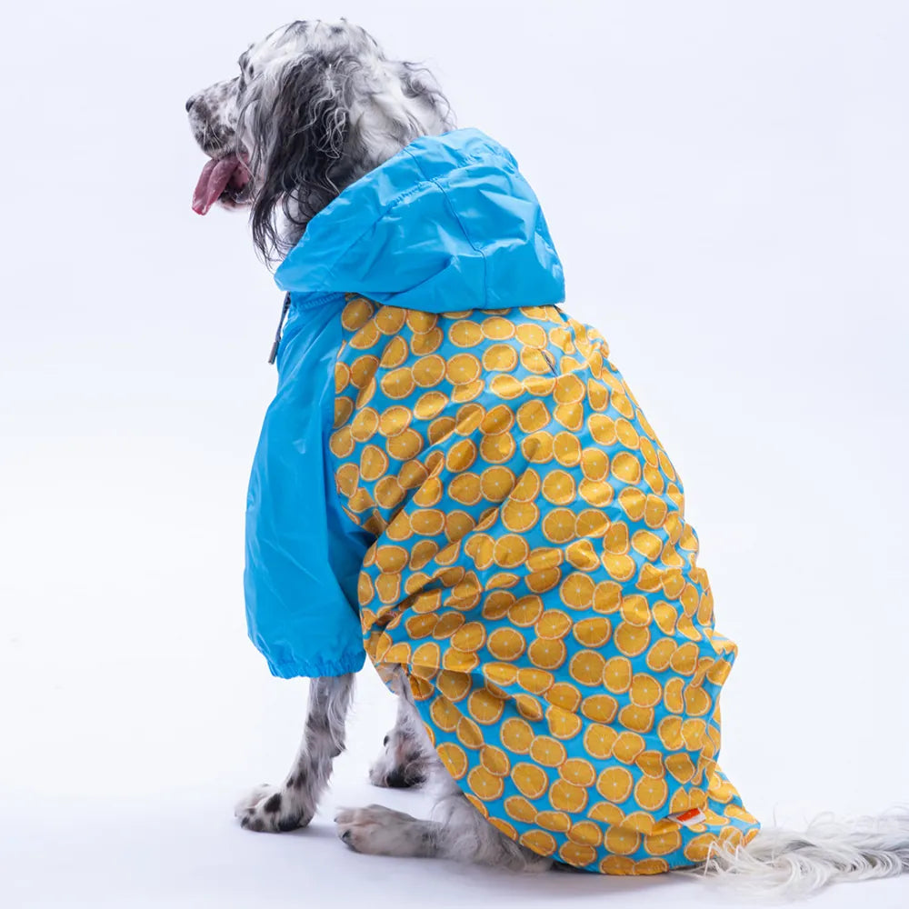 Nice Citrus Large Breed Raincoat
