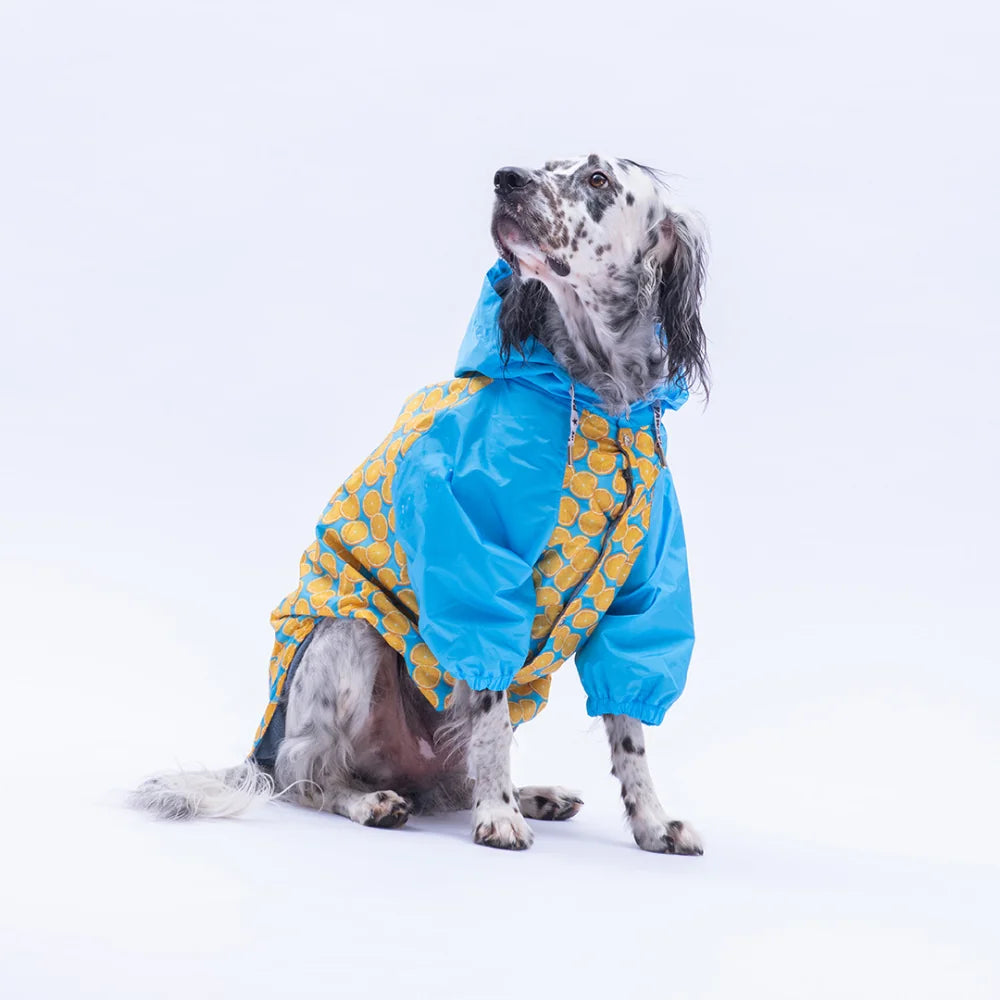 Nice Citrus Large Breed Raincoat