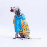 Nice Citrus Large Breed Raincoat
