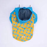 Nice Citrus Large Breed Raincoat