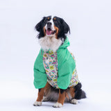 Denver Dino Large Breed Raincoat