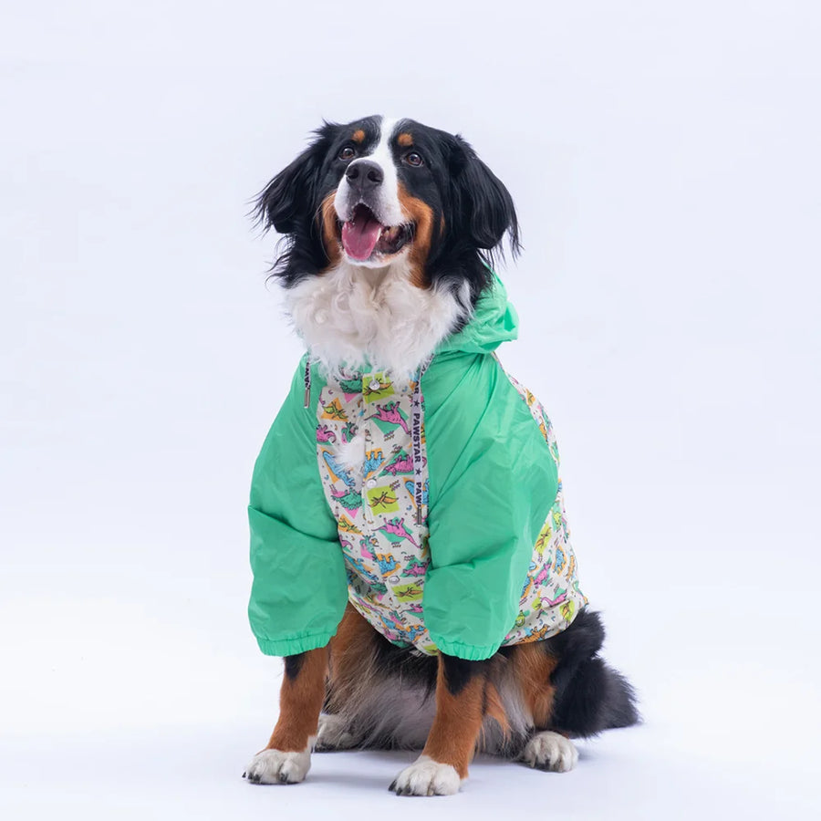 Denver Dino Large Breed Raincoat