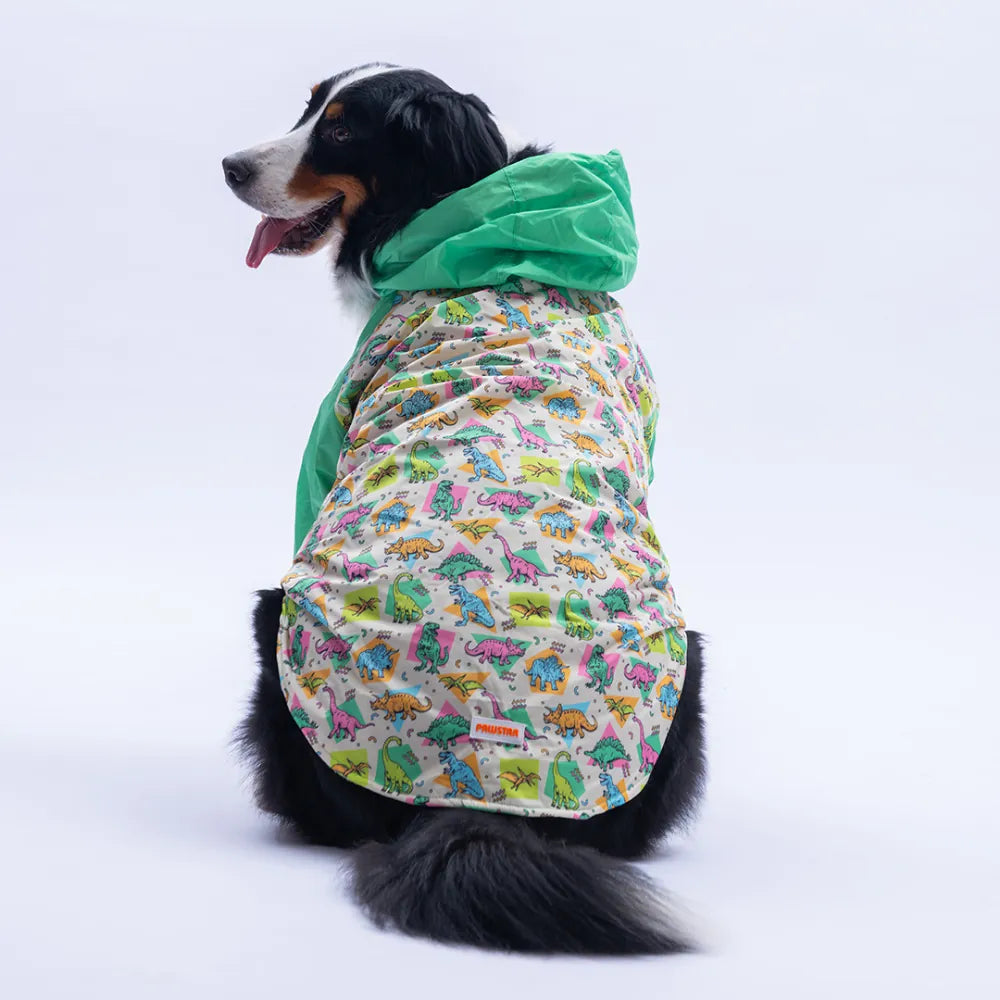 Denver Dino Large Breed Raincoat