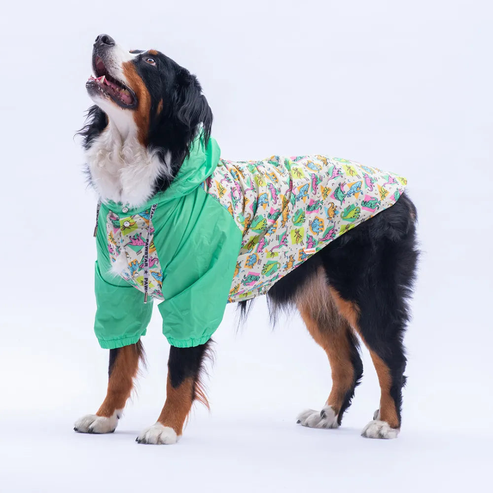 Denver Dino Large Breed Raincoat