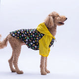 Osaka Smile Large Breed Raincoat