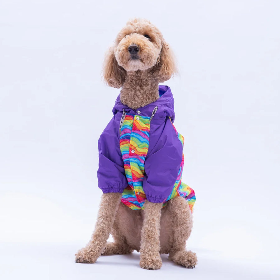 Rio Rainbow Large Breed Raincoat