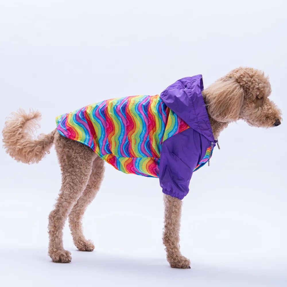 Rio Rainbow Large Breed Raincoat