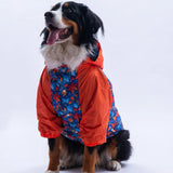 Amsterdam Fall Large Breed Raincoat