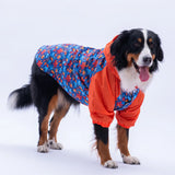 Amsterdam Fall Large Breed Raincoat
