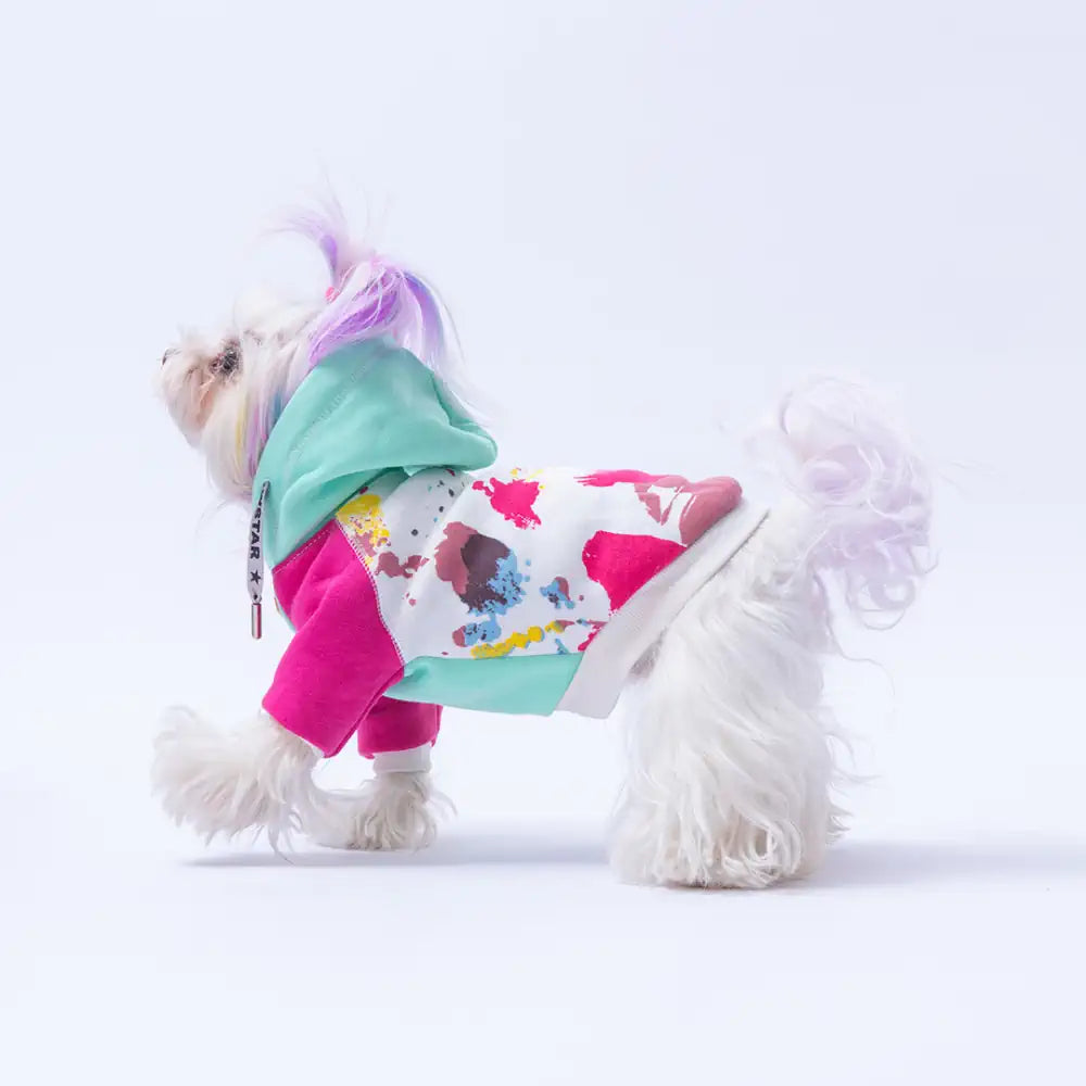 Mint Rio Hoodie Small & Medium Breed