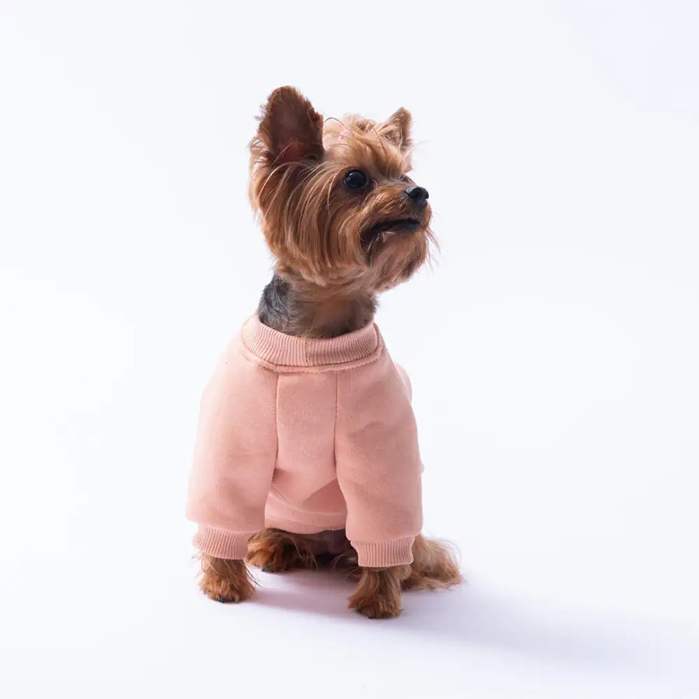 Pink Dublin Hopper Sweatshirt