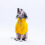 Yellow Porto Cozy Large Breed Sweatshirt