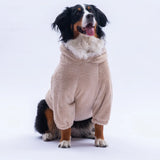 Beige Lucca Teddy Large Breed Hoodie