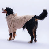 Beige Lucca Teddy Large Breed Hoodie
