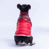 Red Plaid Vest Small & Medium Breed
