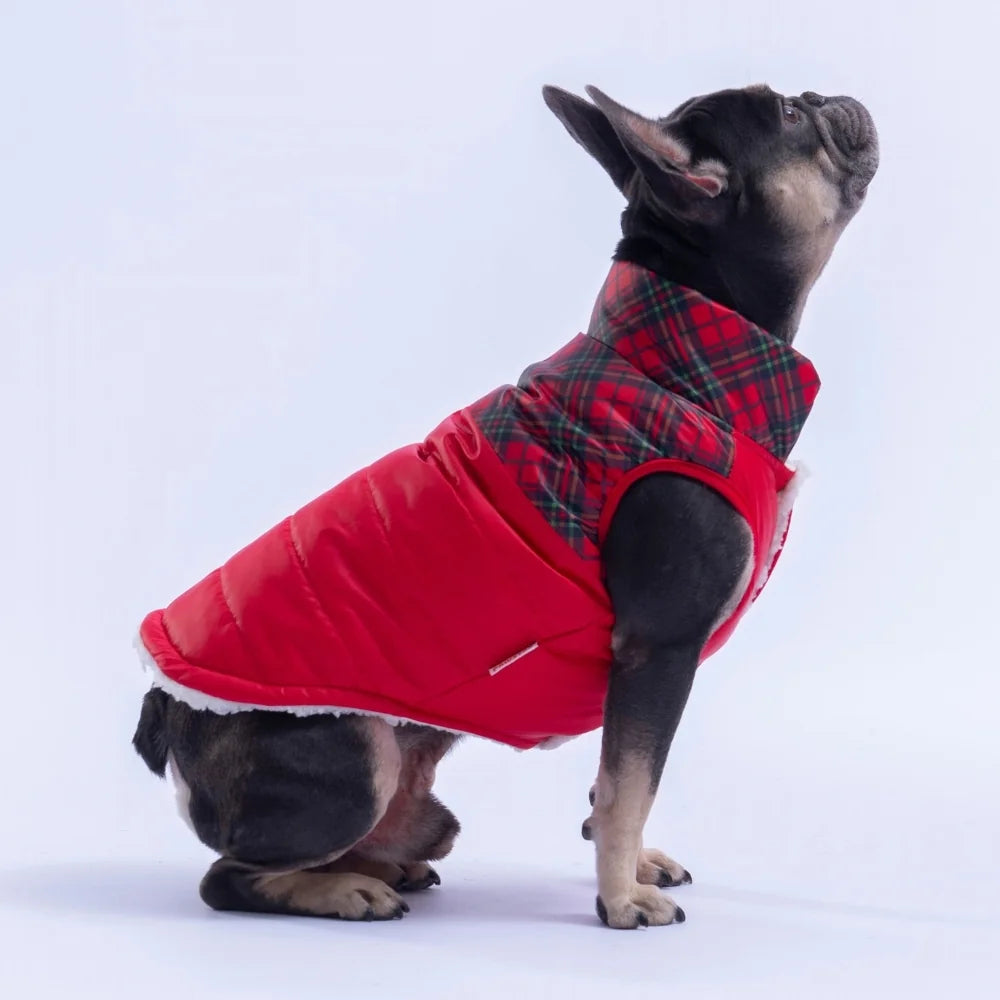 Red Plaid Vest Small & Medium Breed