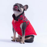 Red Plaid Vest Small & Medium Breed
