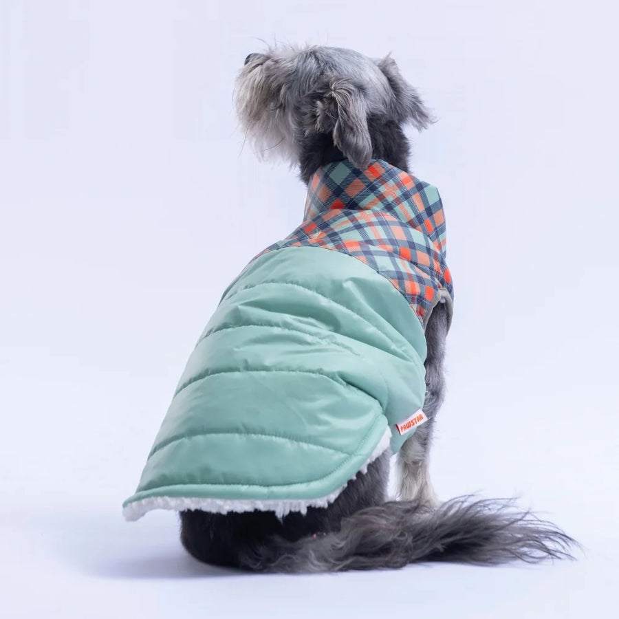 Green Plaid Vest Small & Medium Breed