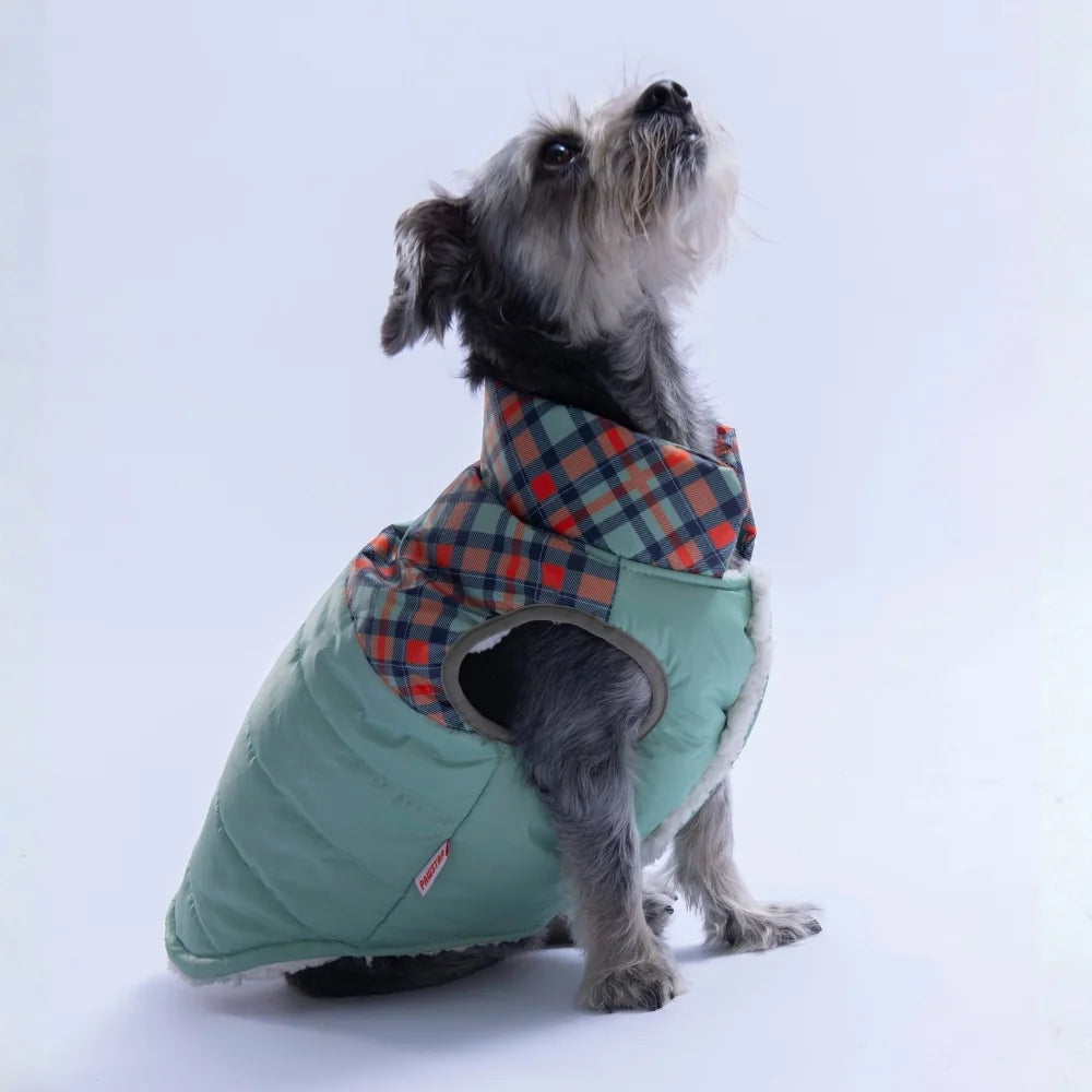 Green Plaid Vest Small & Medium Breed