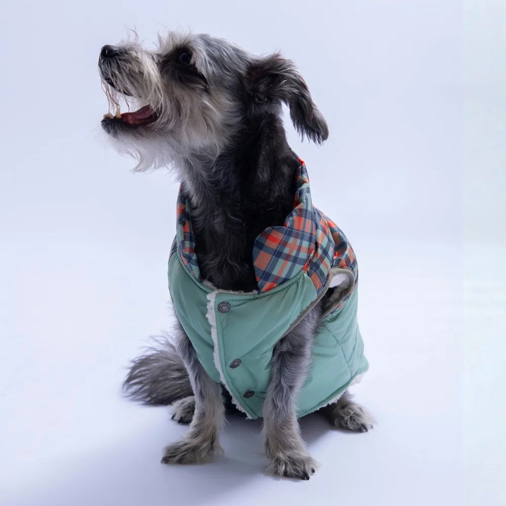 Green Plaid Vest Small & Medium Breed