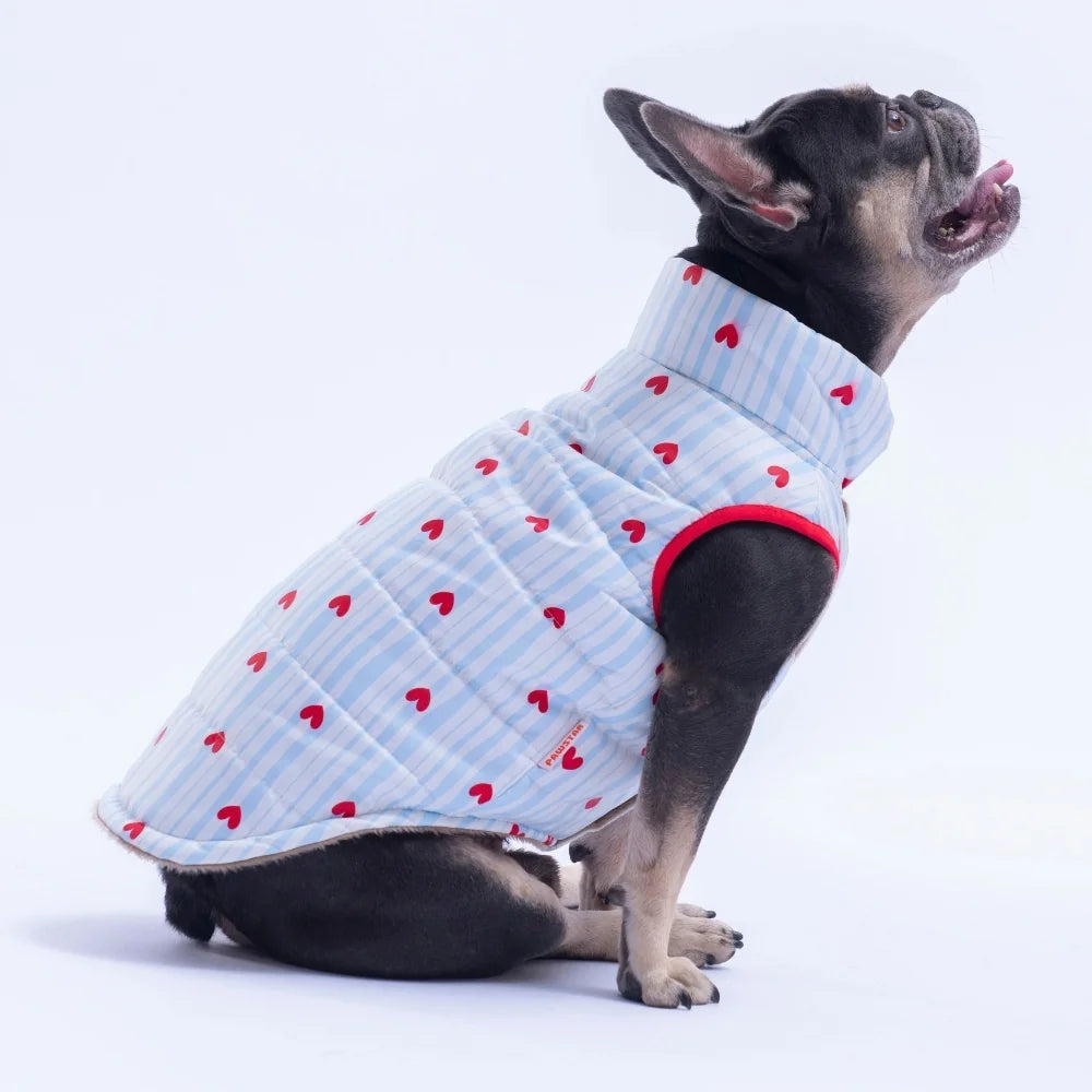 Moyo Blue Vest Small & Medium Breed