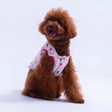 Moyo Pink Vest Small & Medium Breed