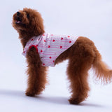 Moyo Pink Vest Small & Medium Breed