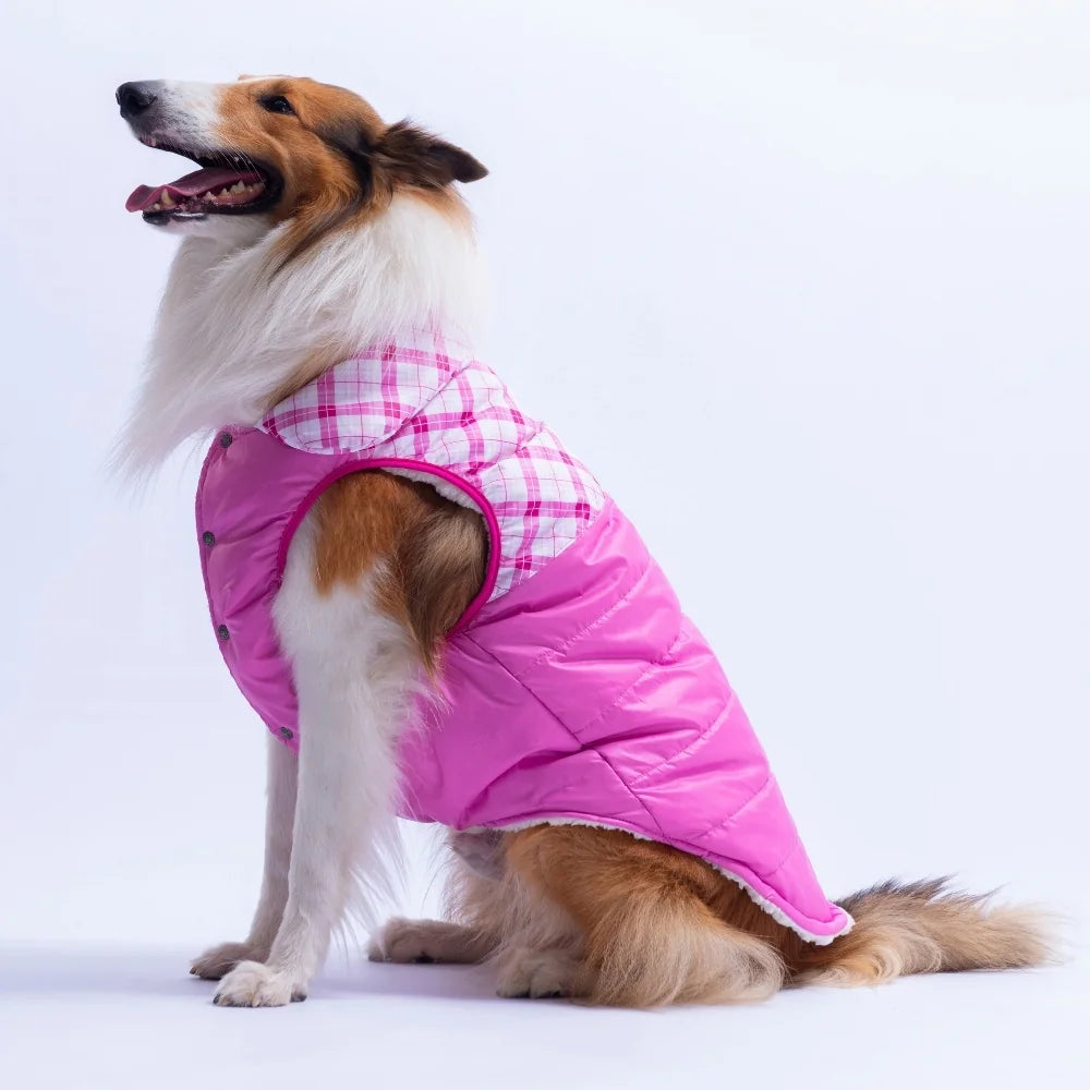 Pink Plaid Large Breed Vest