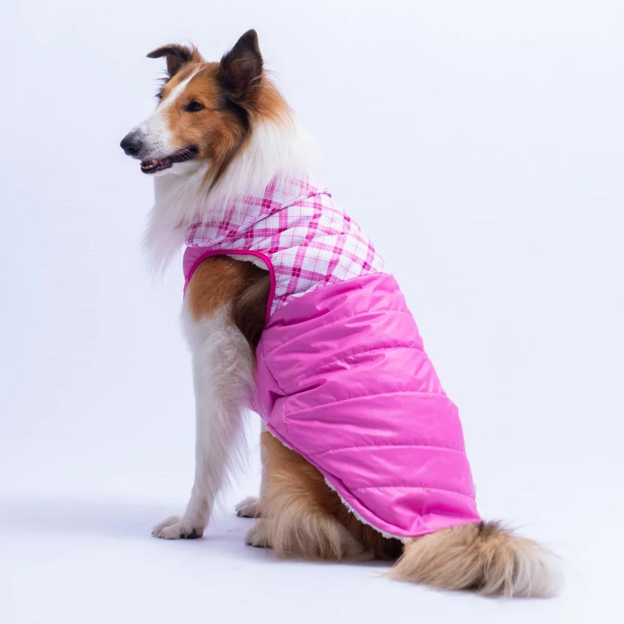 Pink Plaid Large Breed Vest