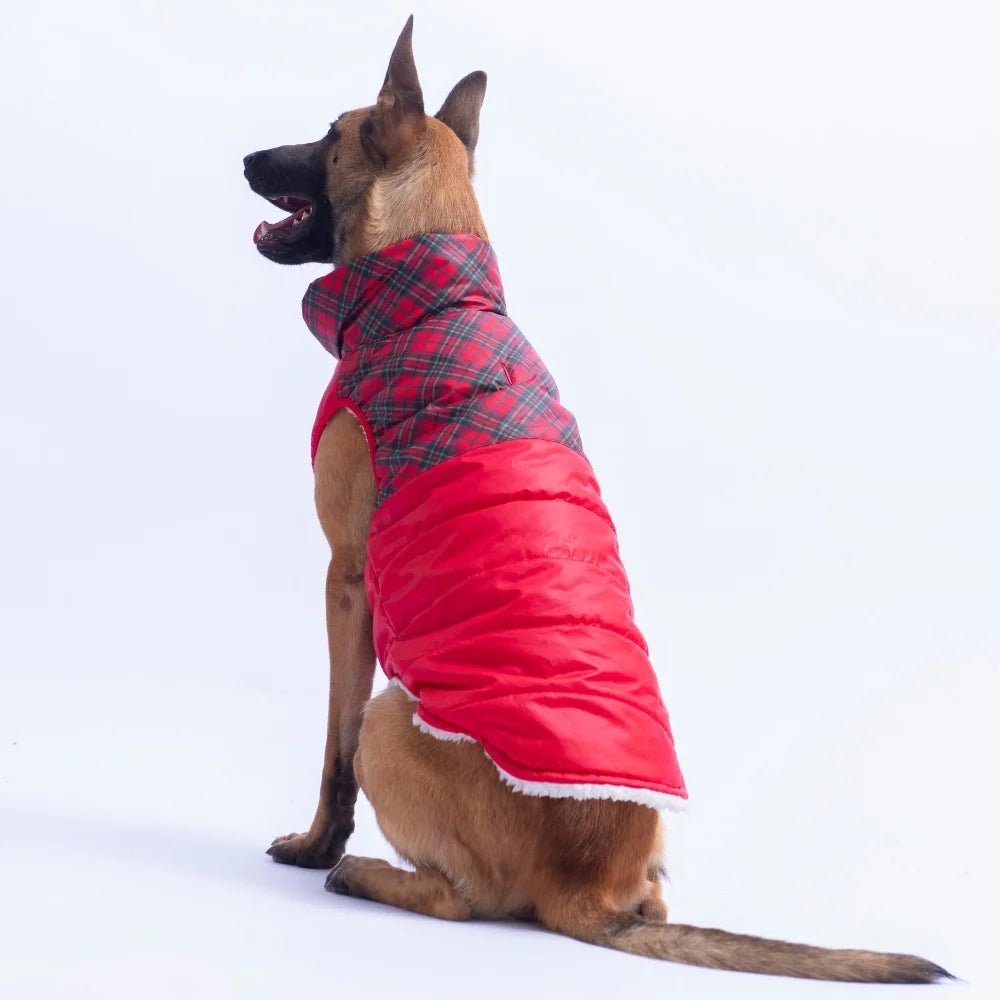 Red Plaid Large Breed Vest