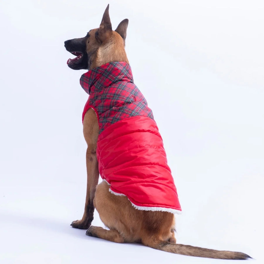 Red Plaid Large Breed Vest